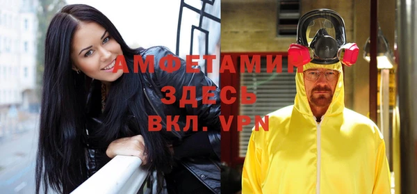 сатива Бородино