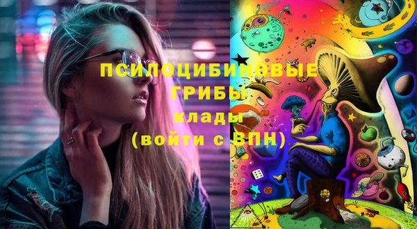сатива Пролетарск