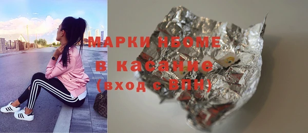 сатива Бородино