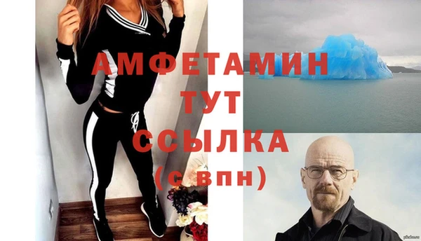сатива Бородино