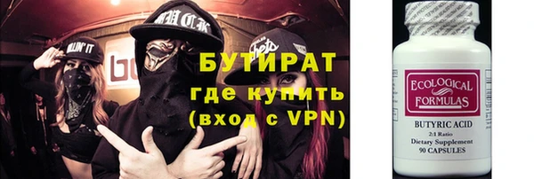 сатива Бородино