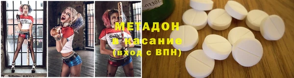 сатива Бородино