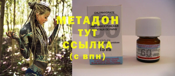 сатива Бородино