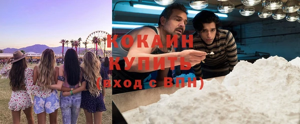 сатива Бородино