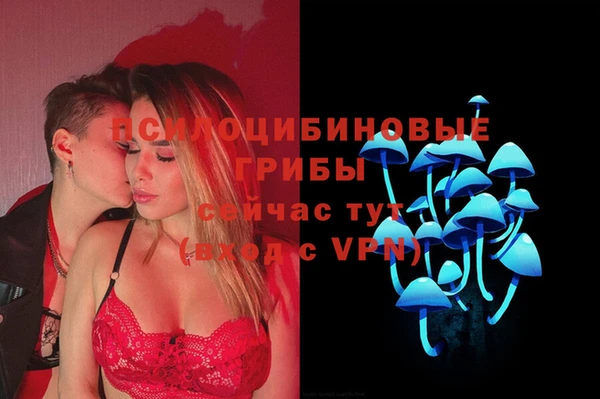 сатива Бородино