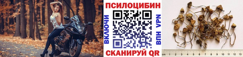 MEGA сайт  Гремячинск  Псилоцибиновые грибы Magic Shrooms 